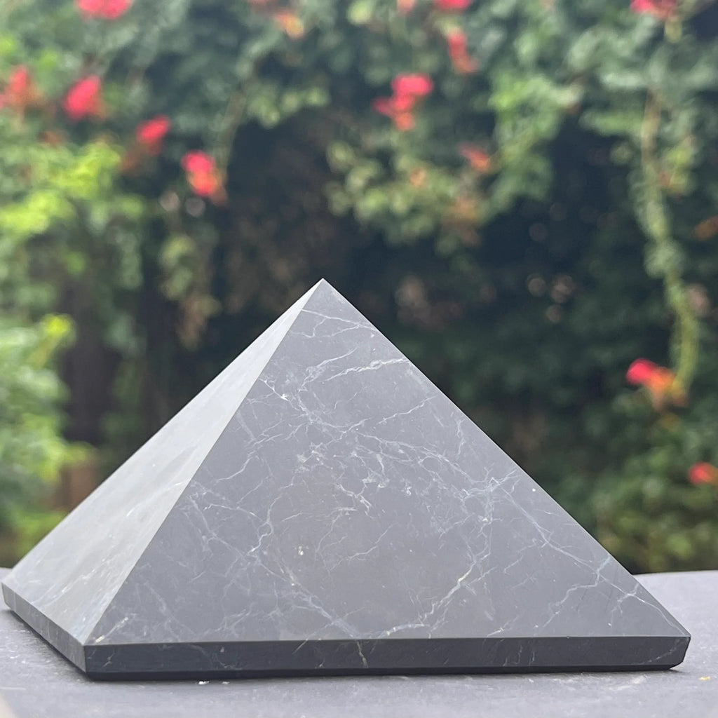 Shungit, mineralul care protejeaza, DRUZY.RO