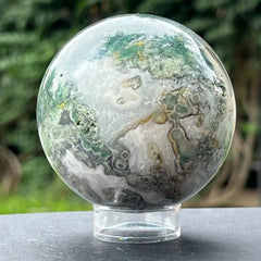 Agat mszysty , agat drzewny