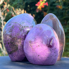 Stichtyt (Atlantysyt)