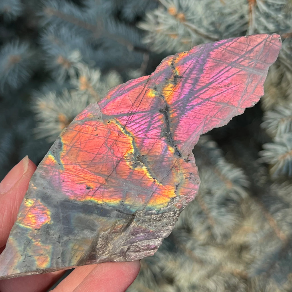 Labradoritul, piatra magiei, a protectiei. 200 de tipuri de minerale, DRUZY.RO