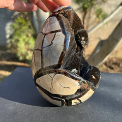 Septaria (Kamień Smoka)