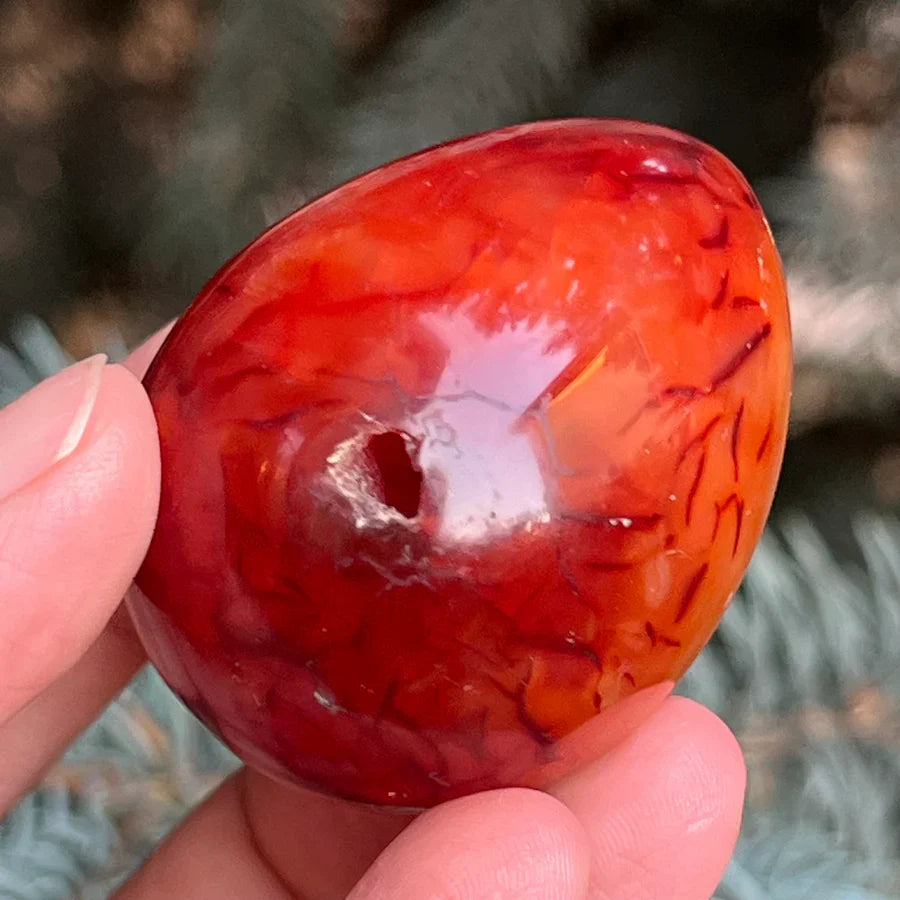 Oua pietre semipretioase