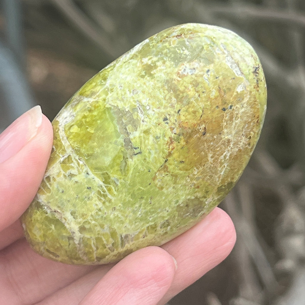 Opal verde palmstone m2, pietre semipretioase - druzy.ro 1 