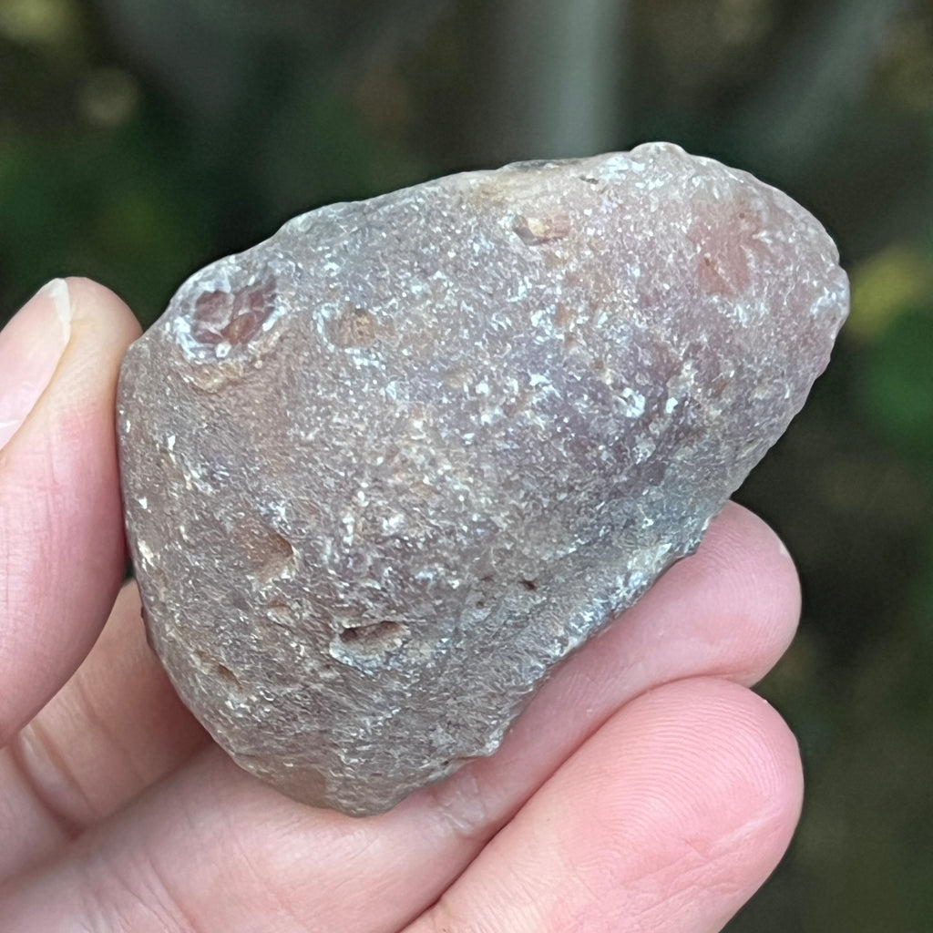 Agat de Botswana, nodul agat river model 3, pietre semipretioase - druzy.ro 4 