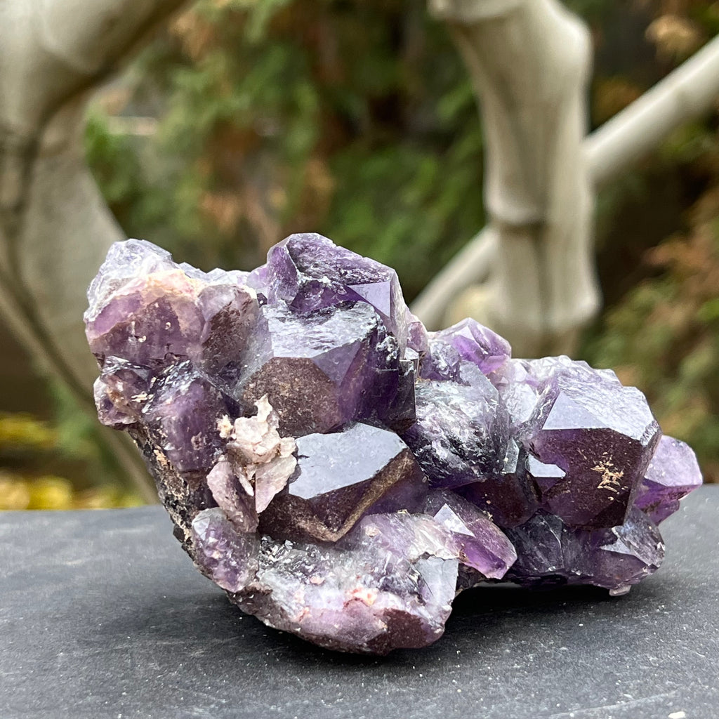 Cluster ametist crud Zambia model 4, druzy.ro, cristale 1