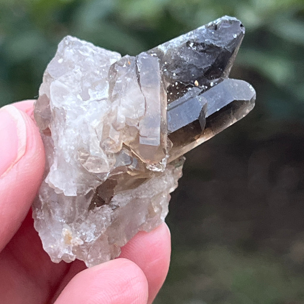 Cluster cuart fumuriu din Brazilia m5, pietre semipretioase - druzy.ro 1 