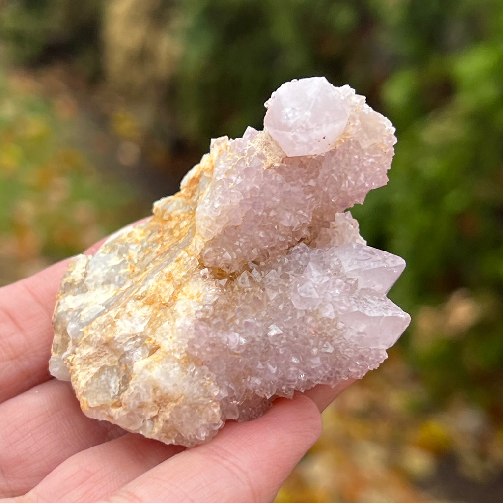 Cluster cuart spirit/cuart cactus mini model AF3/4, druzy.ro, cristale 2