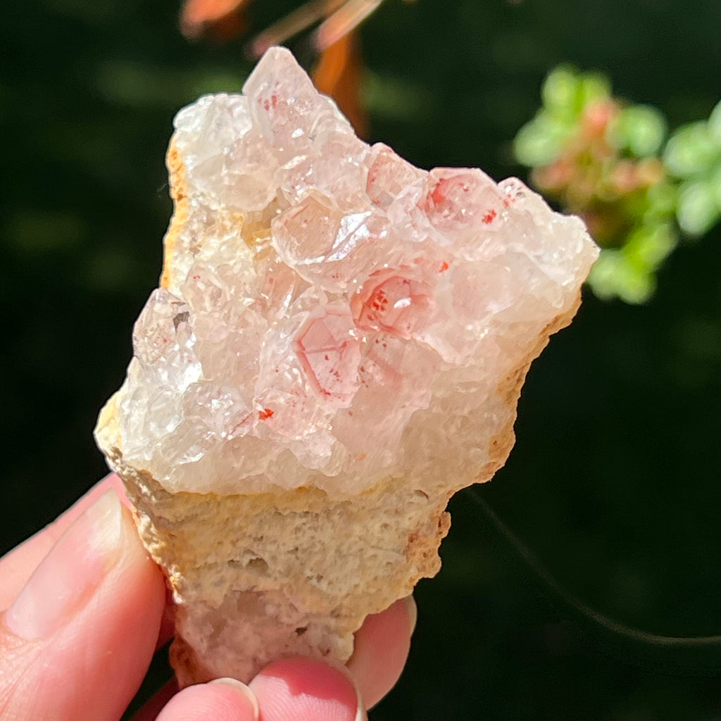 Cluster cuart lamaie Zambia, golden healer model Lm8, pietre semipretioase - druzy.ro 2