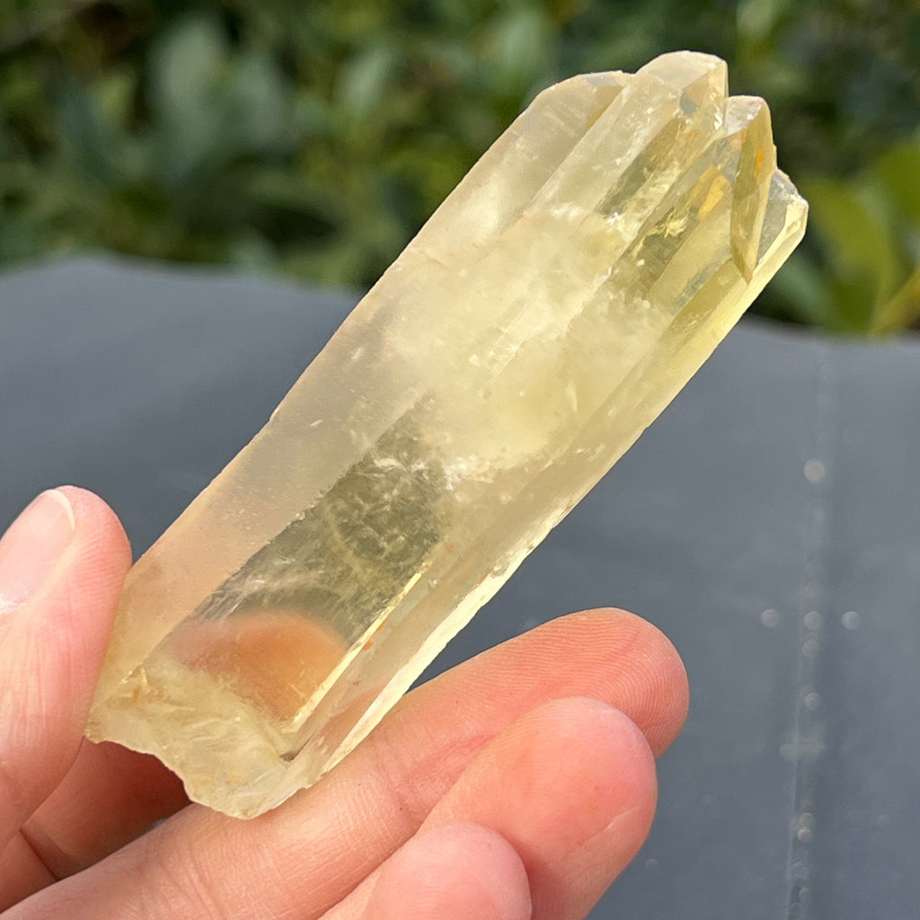 Varf citrin mina Luena, Congo model 18, pietre semipretioase - druzy.ro 11 
