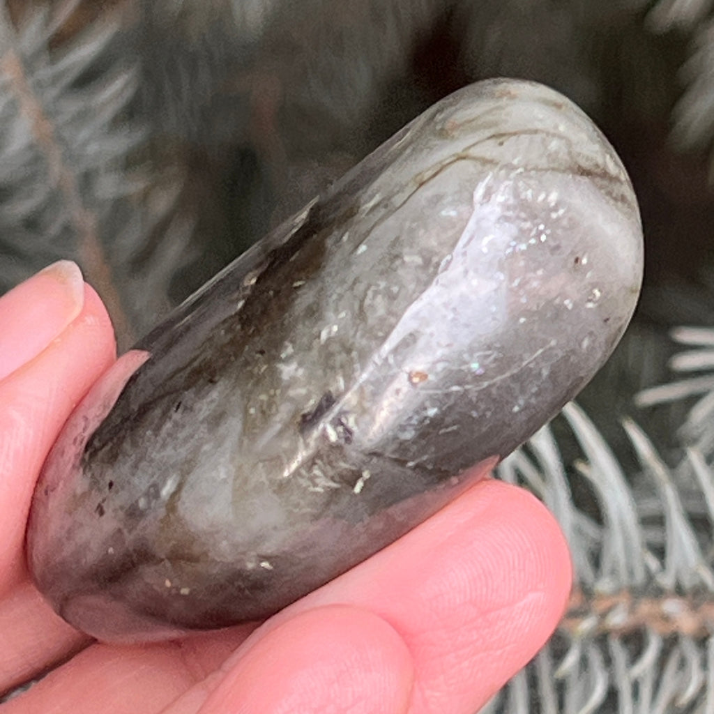 Labradorit palm stone m6, pietre semipretioase - druzy.ro 10 