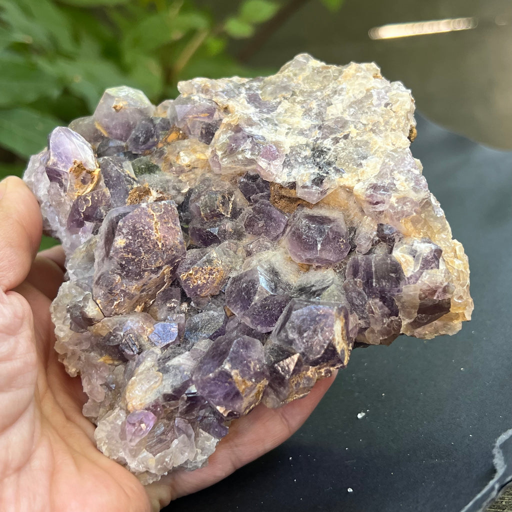 Cluster ametist crud Zambia model 6, pietre semipretioase - druzy.ro 6 