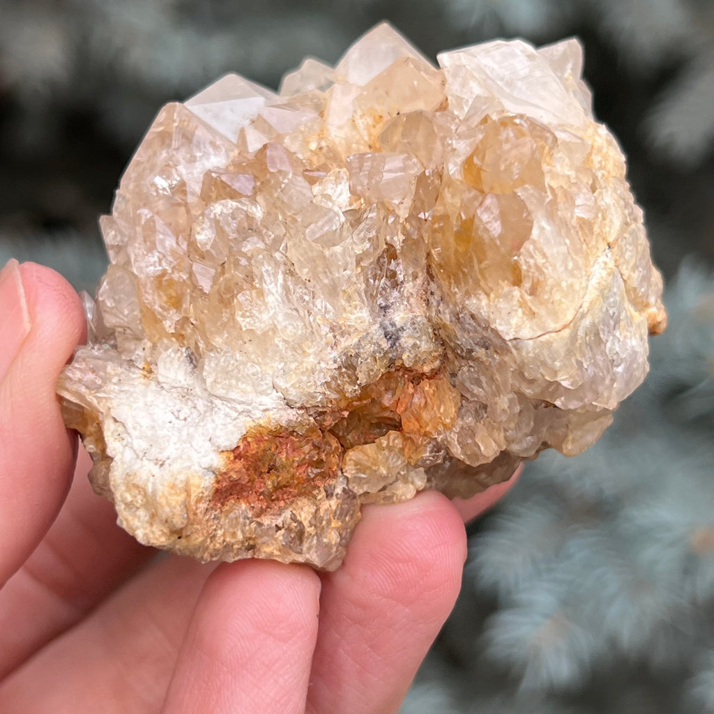 Cluster cuart cactus / cuart spirit model 41, druzy.ro, cristale 3