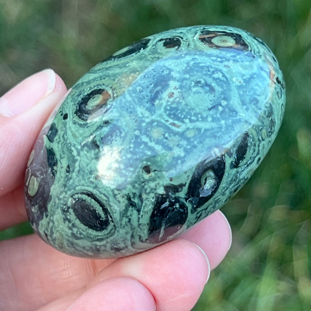 Palmstone jasp kambaba model 4, pietre semipretioase - druzy.ro 4 