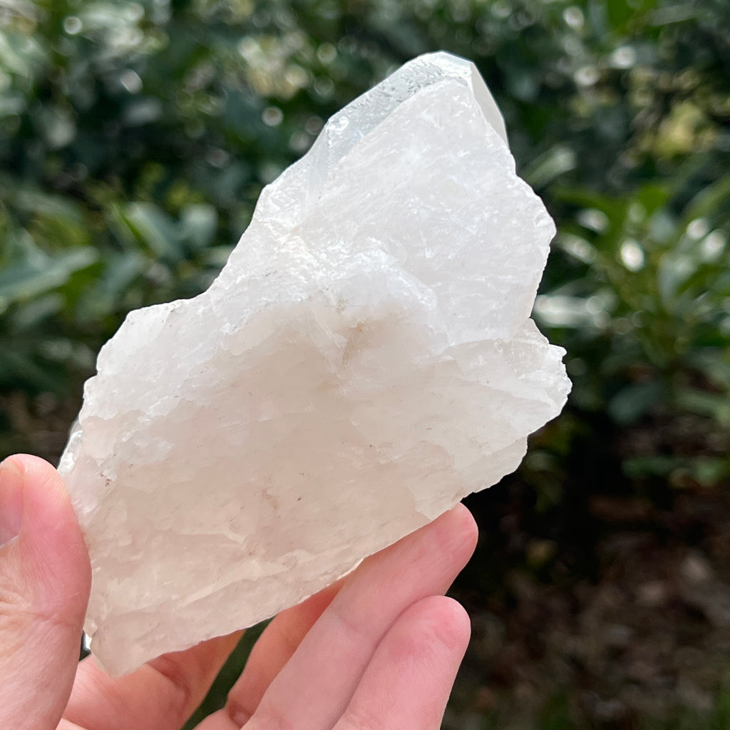 Varf cuart incolor natural, floare de mina L18, pietre semipretioase - druzy.ro 4 