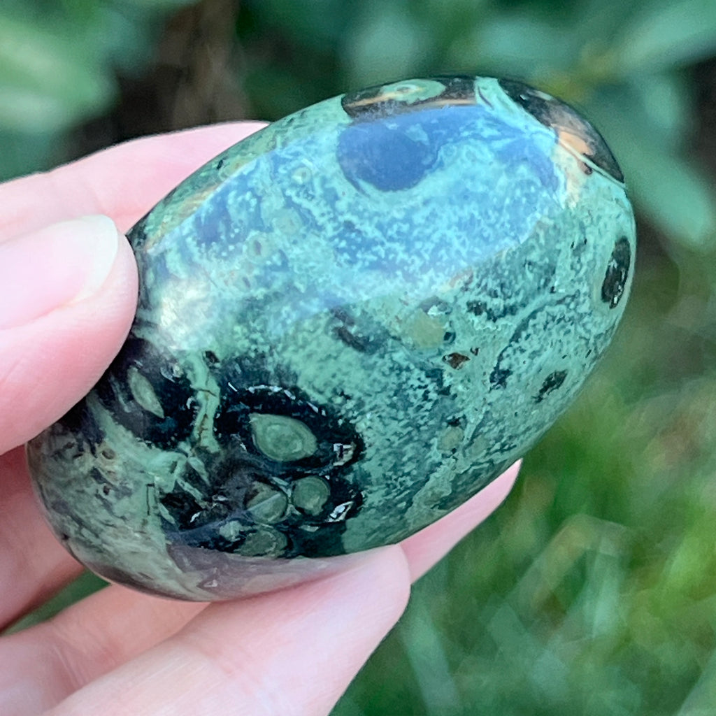Palmstone jasp kambaba model 5, pietre semipretioase - druzy.ro 4 