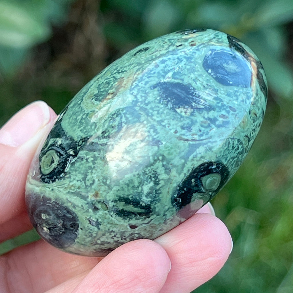 Palmstone jasp kambaba model 5, pietre semipretioase - druzy.ro 9 