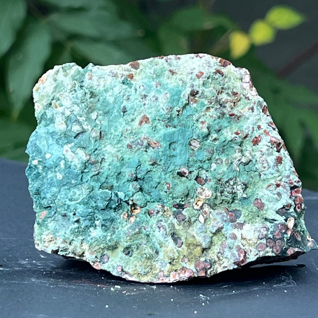Sardonix India piatra bruta m20, pietre semipretioase - druzy.ro 4 