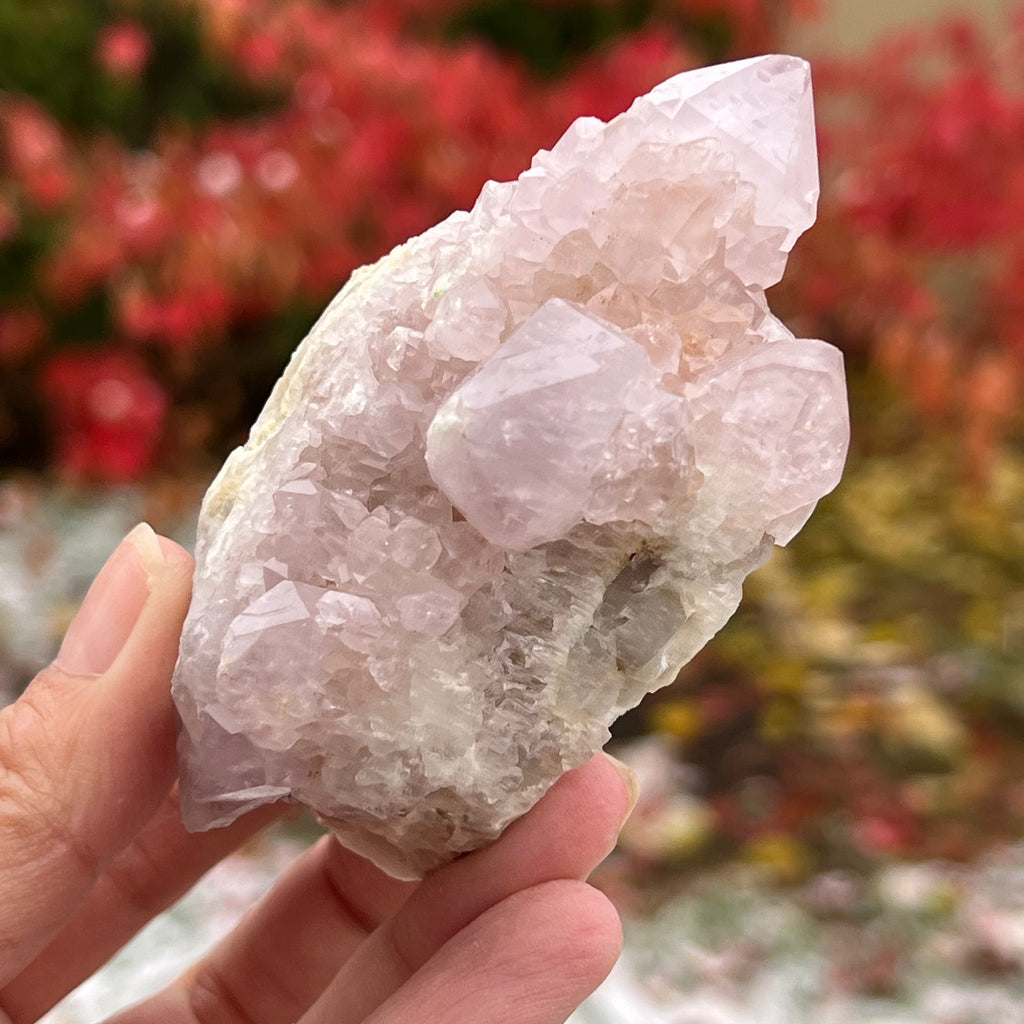 Cluster cuart cactus / cuart spirit ametist liliac model 9A, druzy.ro, cristale 2