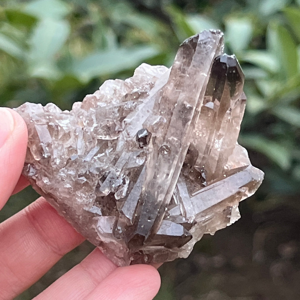 Cluster cuart fumuriu din Brazilia m6, pietre semipretioase - druzy.ro 5 
