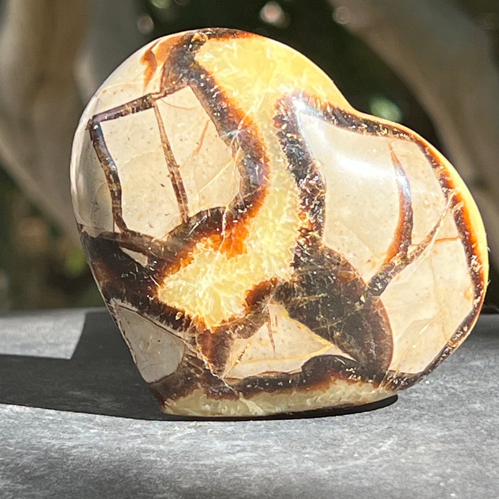 Inima septaria XL model 1, druzy.ro, cristale 2