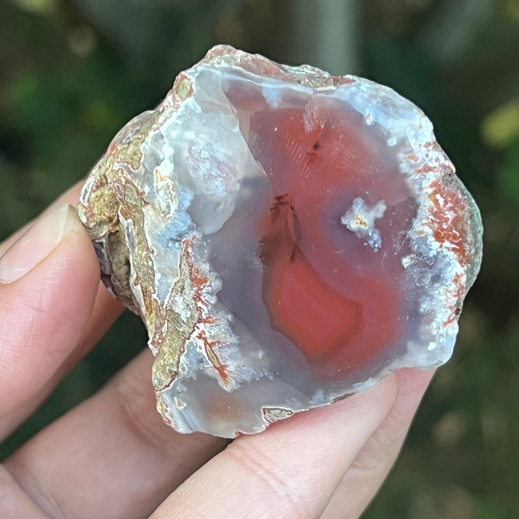 Agat de Botswana, nodul agat river model 12, pietre semipretioase - druzy.ro 1 