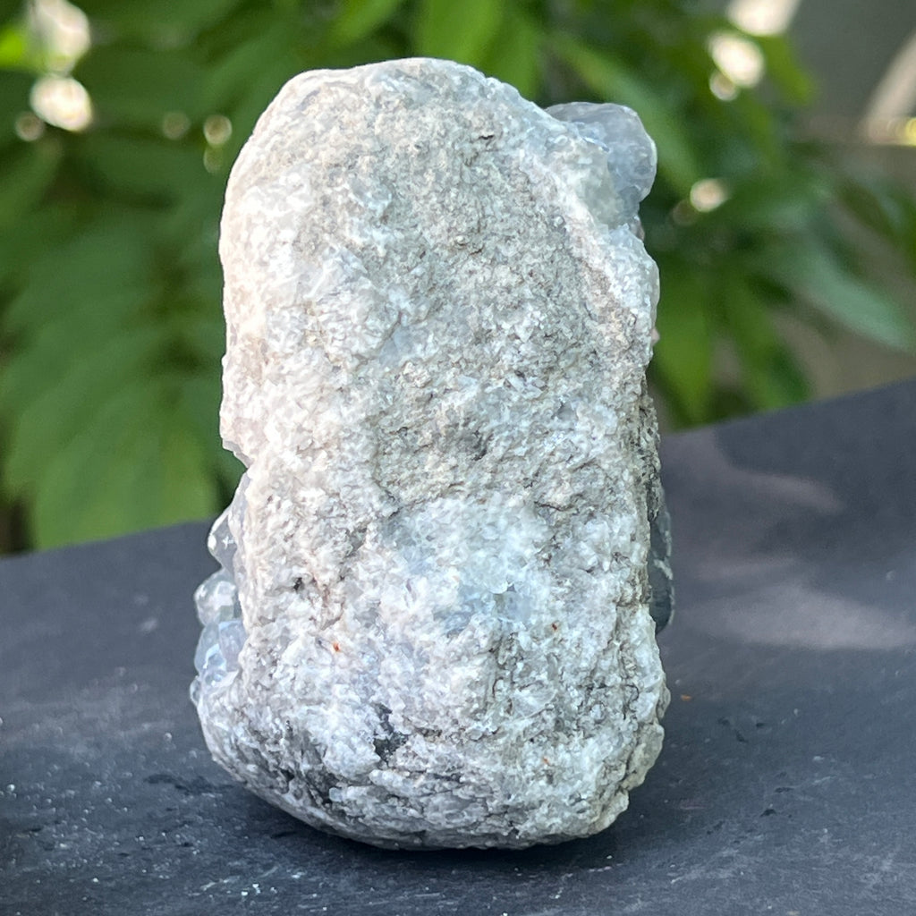 Celestit / celestina cluster m16, pietre semipretioase - druzy.ro 4 