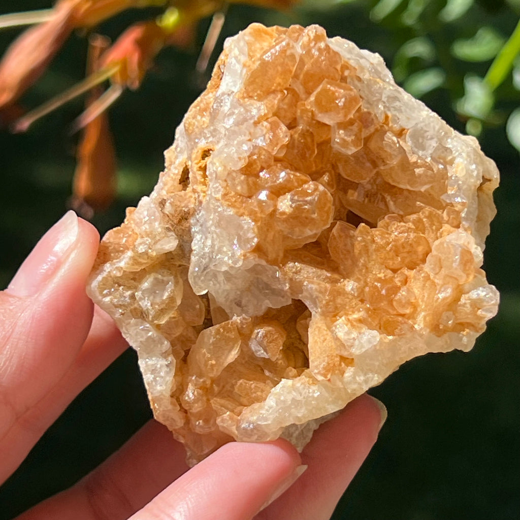 Cluster cuart lamaie Zambia, golden healer model Lm12, pietre semipretioase - druzy.ro 1