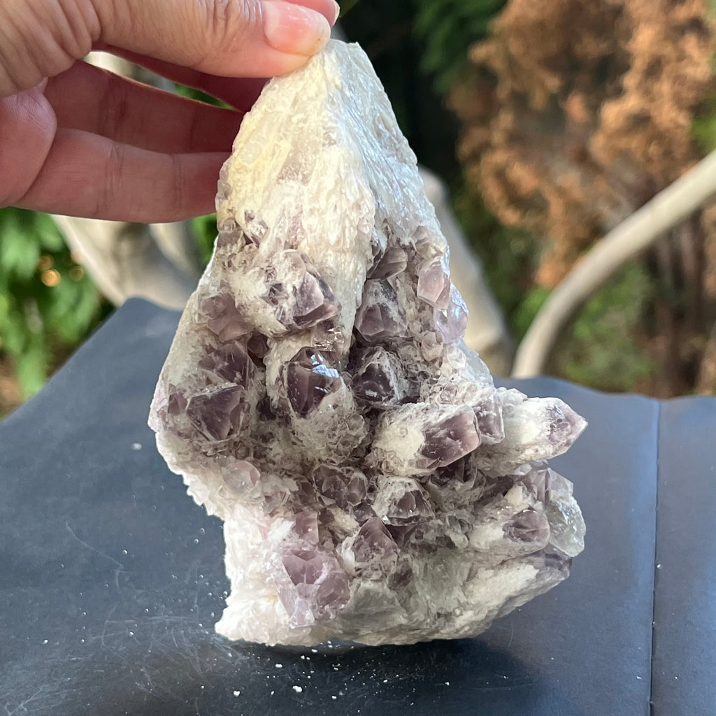 Cluster ametist sweet model 5a/10, din Zambia, druzy.ro, cristale 2