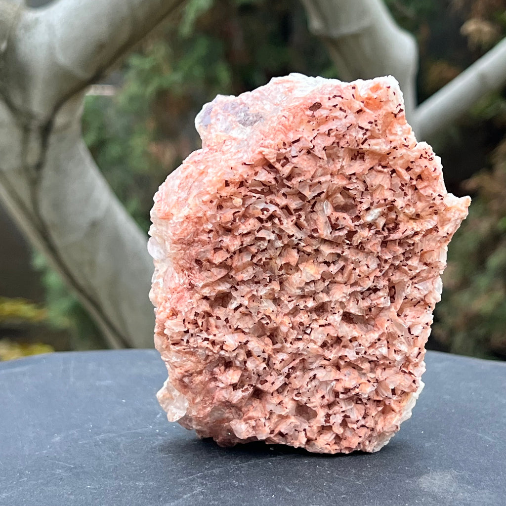 Cluster ametist sweet model 2 din Zambia, druzy.ro, cristale 4