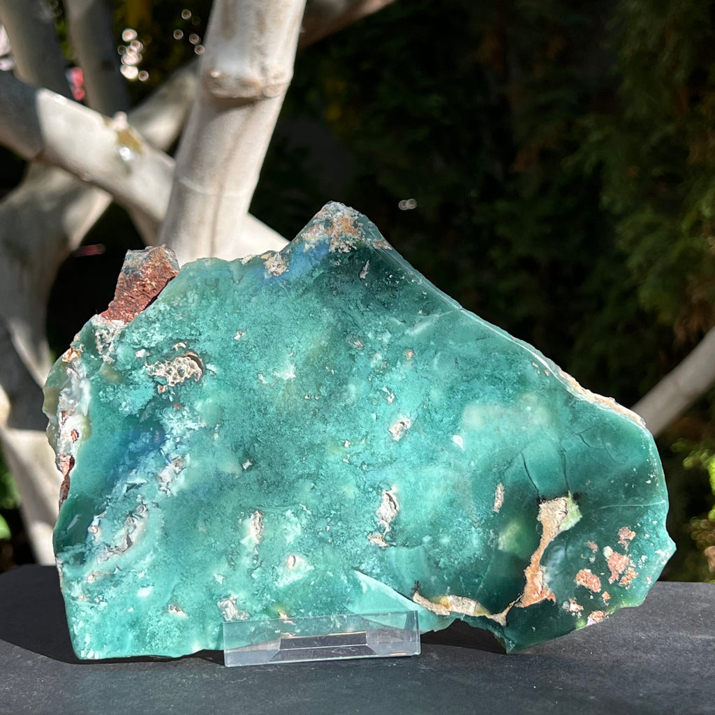 Crisopraz polisat pe o fata XL1 - 18 cm, druzy.ro, cristale 5