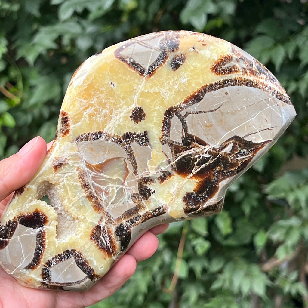 Felie septaria XL m2, druzy.ro, cristale 1