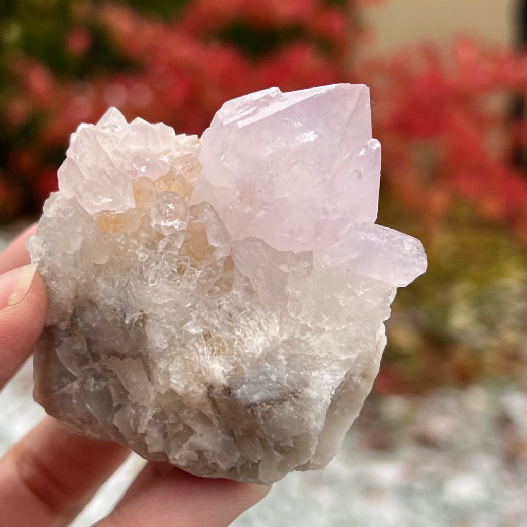 Cluster cuart cactus / cuart spirit ametist liliac model 11A, druzy.ro, cristale 3