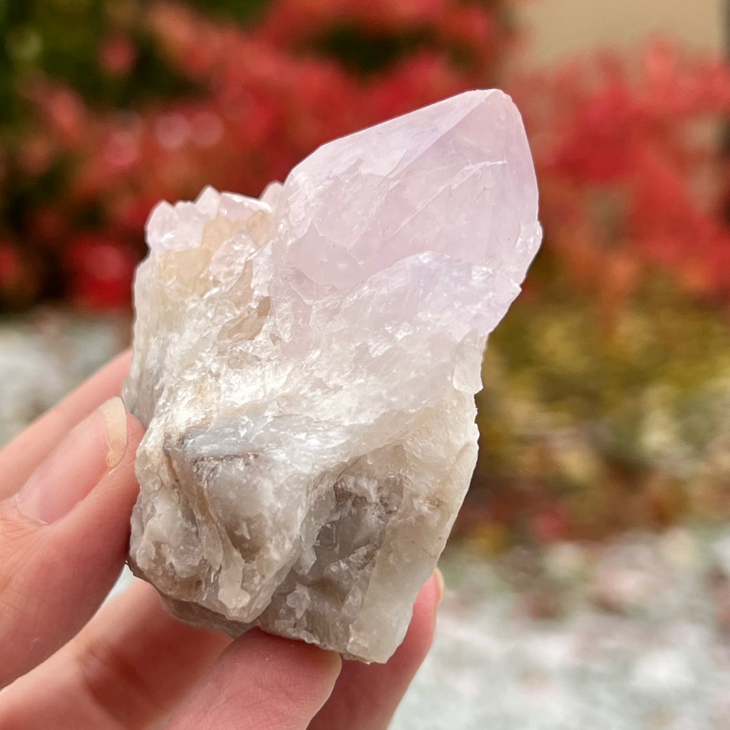 Cluster cuart cactus / cuart spirit ametist liliac model 11A, druzy.ro, cristale 2