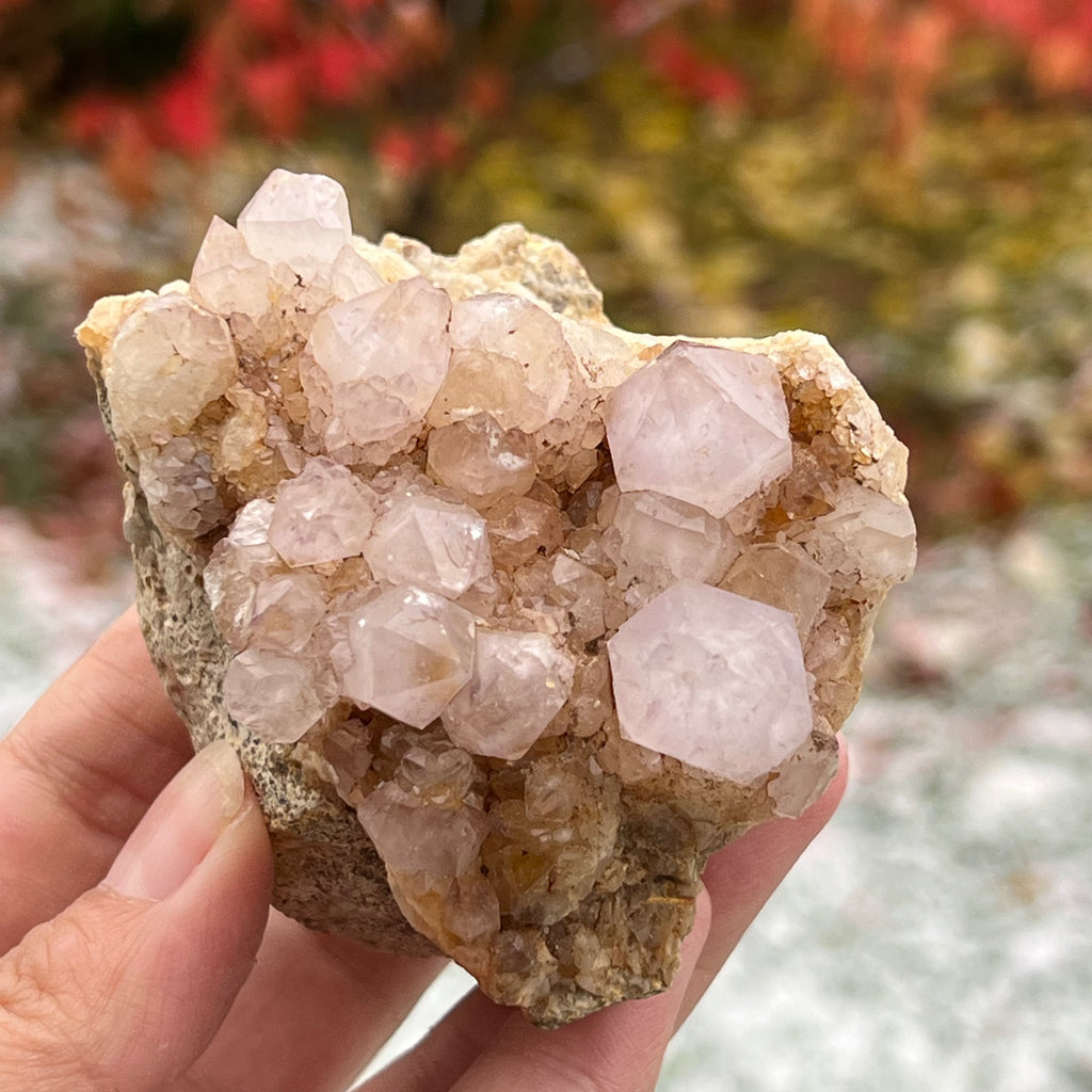 Cluster cuart cactus / cuart spirit ametist liliac model 16A, druzy.ro, cristale 2