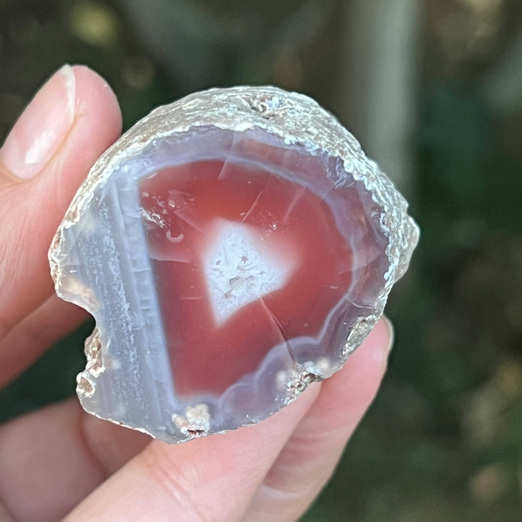 Agat de Botswana, nodul agat river model 13, pietre semipretioase - druzy.ro 1 