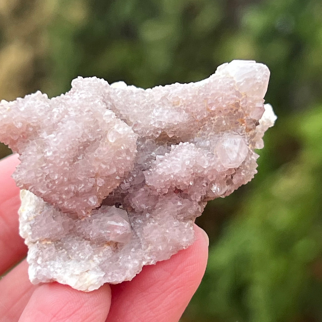 Cluster cuart spirit/cuart cactus mini model AF3/8, druzy.ro, cristale 4