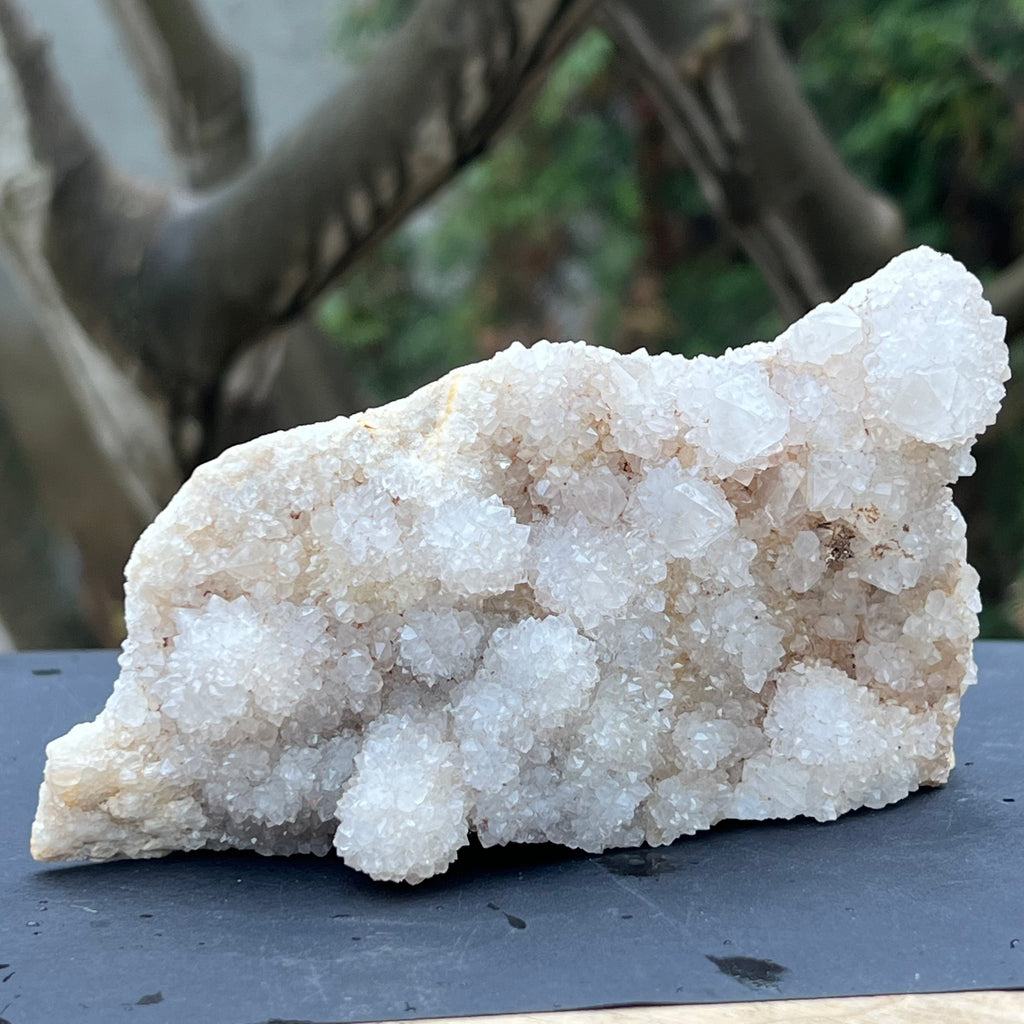 Cluster cuart cactus / cuart spirit model 3A1, druzy.ro, cristale 5
