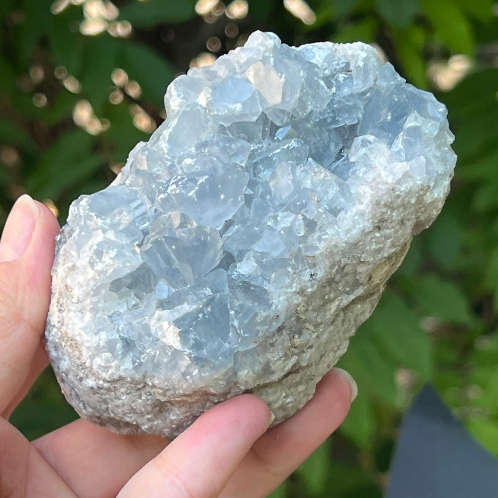 Celestit /celestina cluster m12, pietre semipretioase - druzy.ro 2 