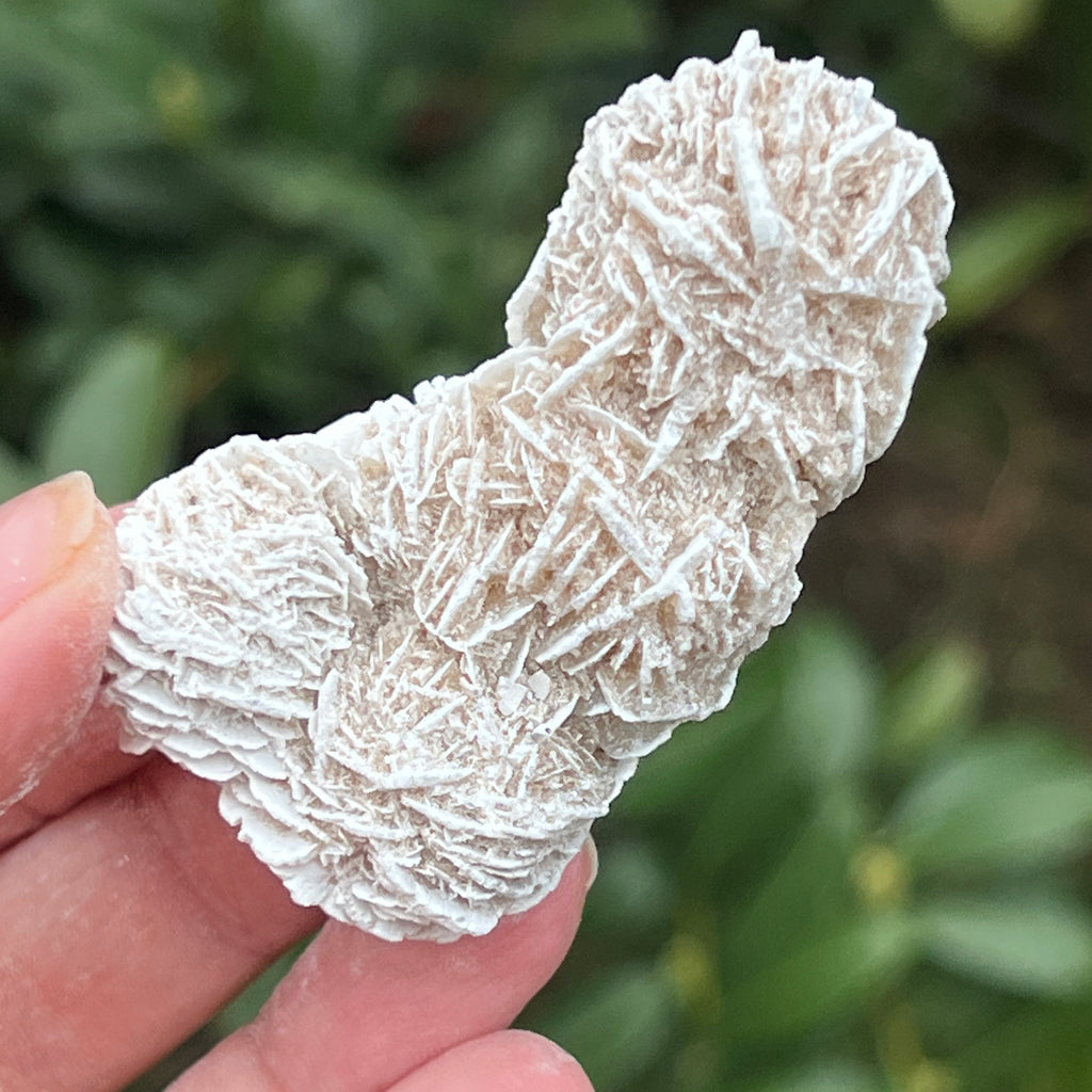 Trandafirul desertului model 5, pietre semipretioase - druzy.ro 2 
