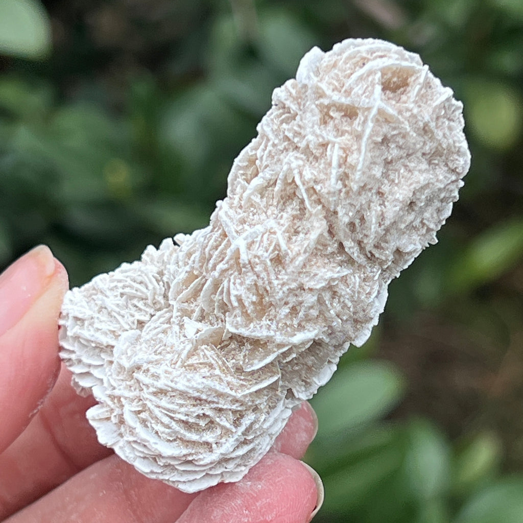Trandafirul desertului model 5, pietre semipretioase - druzy.ro 5 