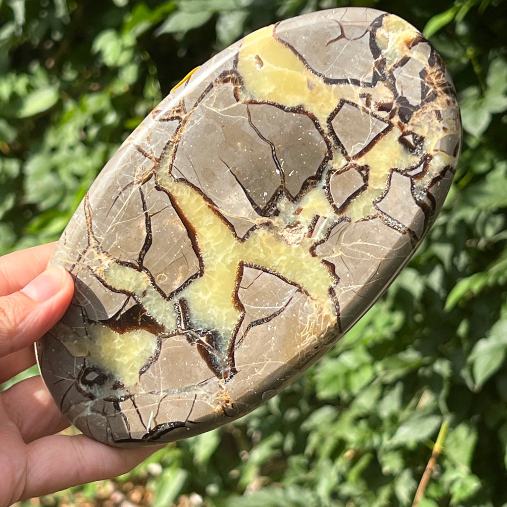 Felie septaria XL m3, druzy.ro, cristale 1