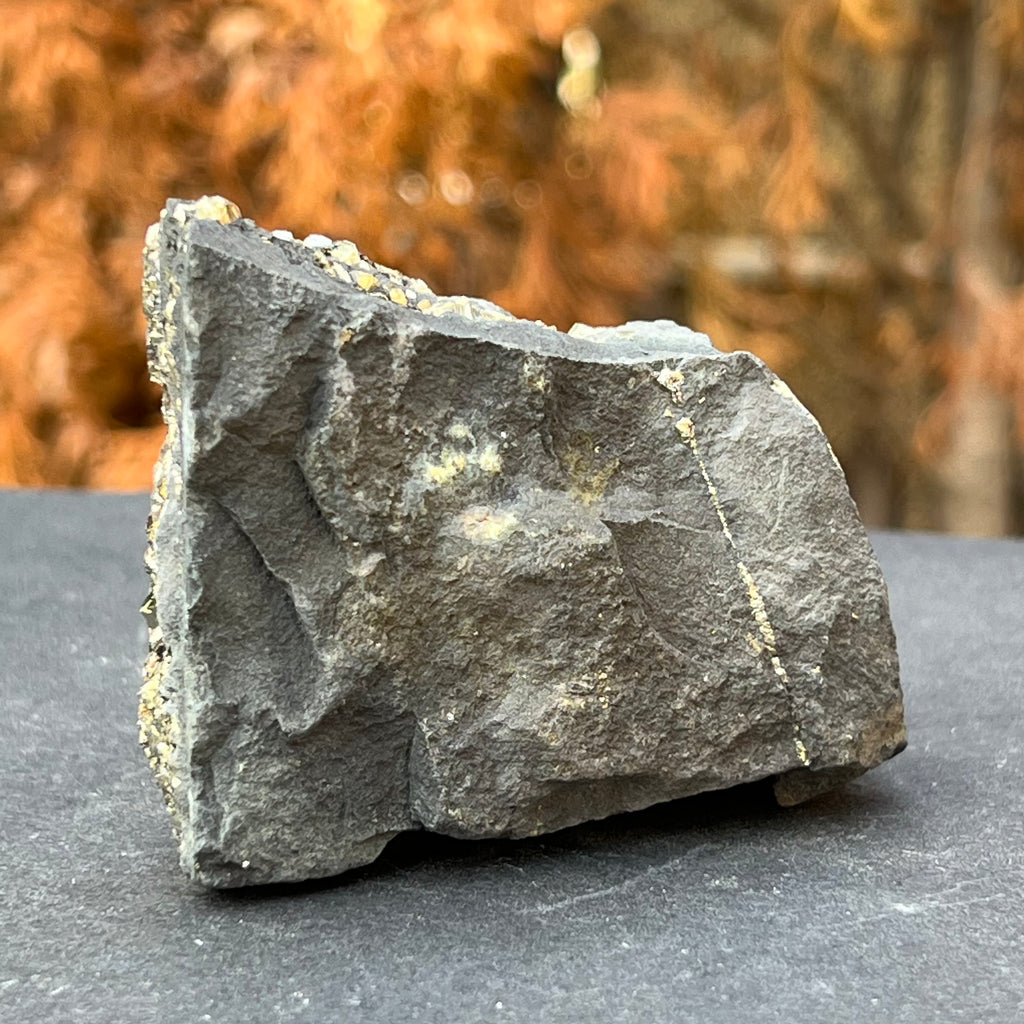 Shungit cu pirita model 11, druzy.ro, cristale 3