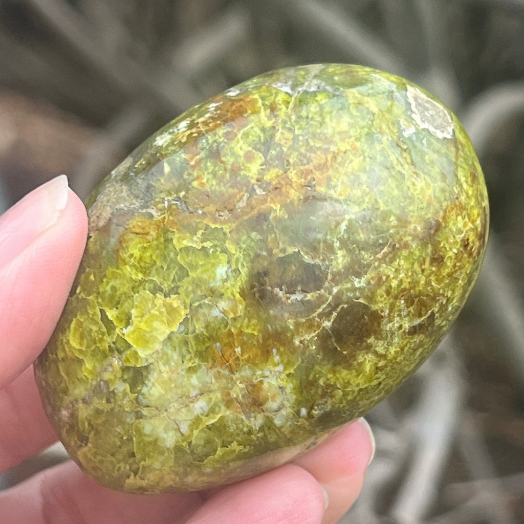 Opal verde palmstone m11, pietre semipretioase - druzy.ro 5 