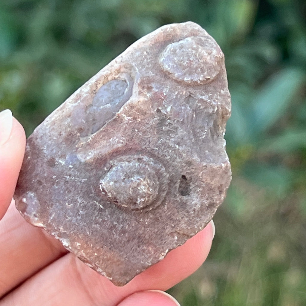Nodul carneol piatra bruta model 8, pietre semipretioase - druzy.ro 6 