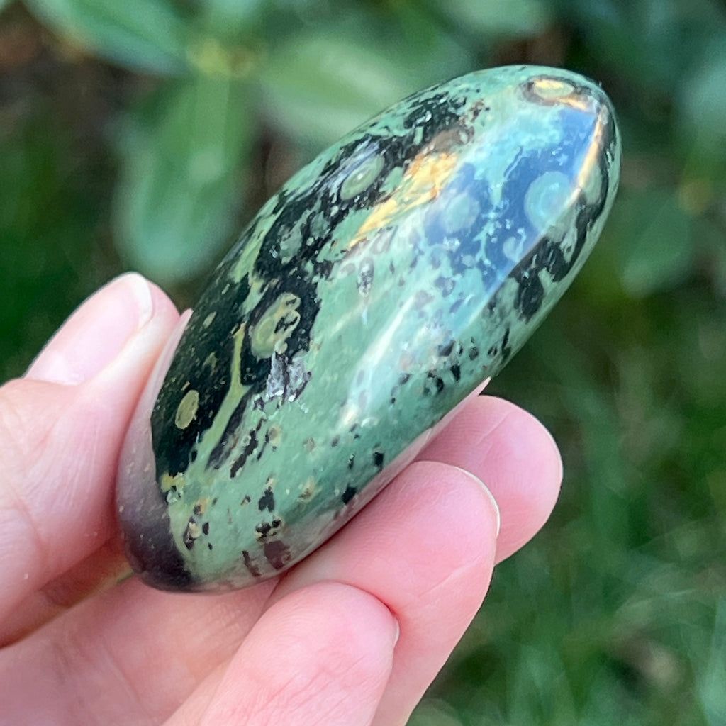 Palmstone jasp kambaba model 8, pietre semipretioase - druzy.ro 4 