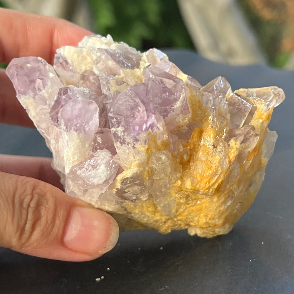 Cluster ametist sweet model 5a/5, din Zambia, pietre semipretioase - druzy.ro 8