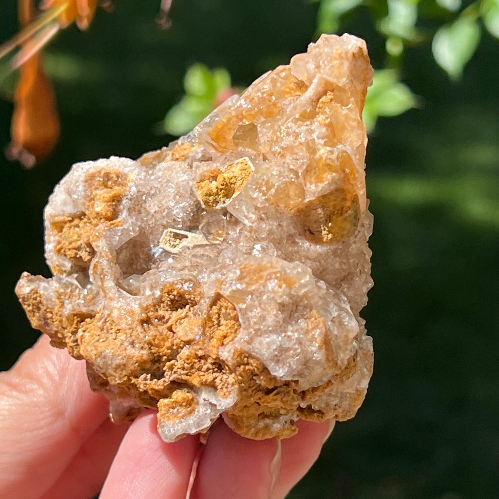 Cluster cuart lamaie Zambia, golden healer model Lm3, pietre semipretioase - druzy.ro 2
