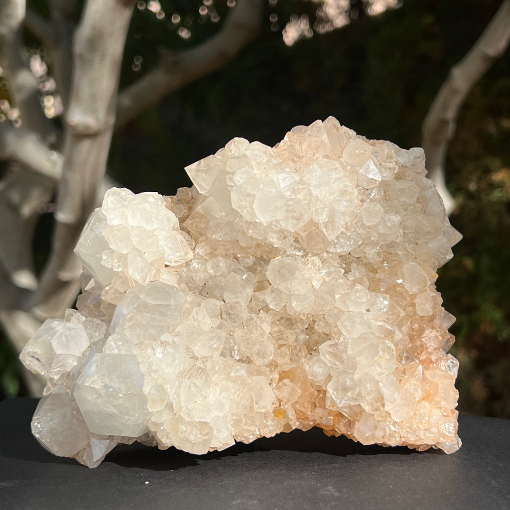 Cluster XL cuart cactus / cuart spirit model 1 Africa de Sud, druzy.ro, cristale 7