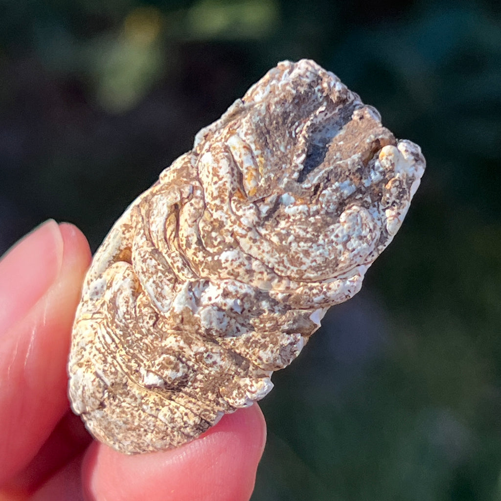 Cluster Agat FEATHER m5, agat cu cuart, pietre semipretioase - druzy.ro 3 