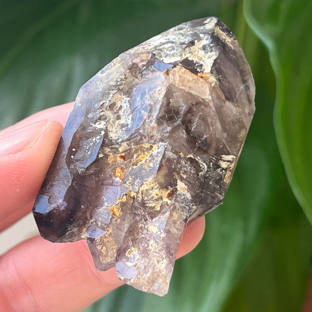 Ametist generator/varf mina Brandberg | Model L65, pietre semipretioase - druzy.ro 3 